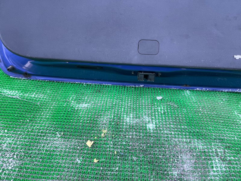 Дверь 5-я задняя WISH ZGE25 Дверь 5-я задняя WISH ZGE25