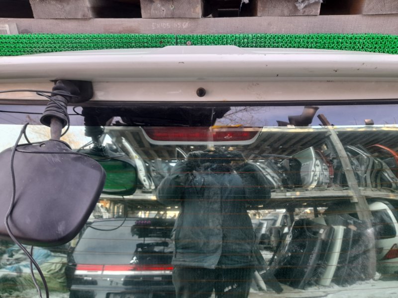 Дверь 5-я NISSAN ELGRAND ATWE50 ZD30DDTI