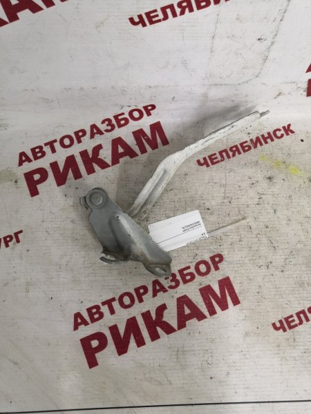 Петля капота Mazda Mpv LW3W Петля капота Mazda Mpv LW3W