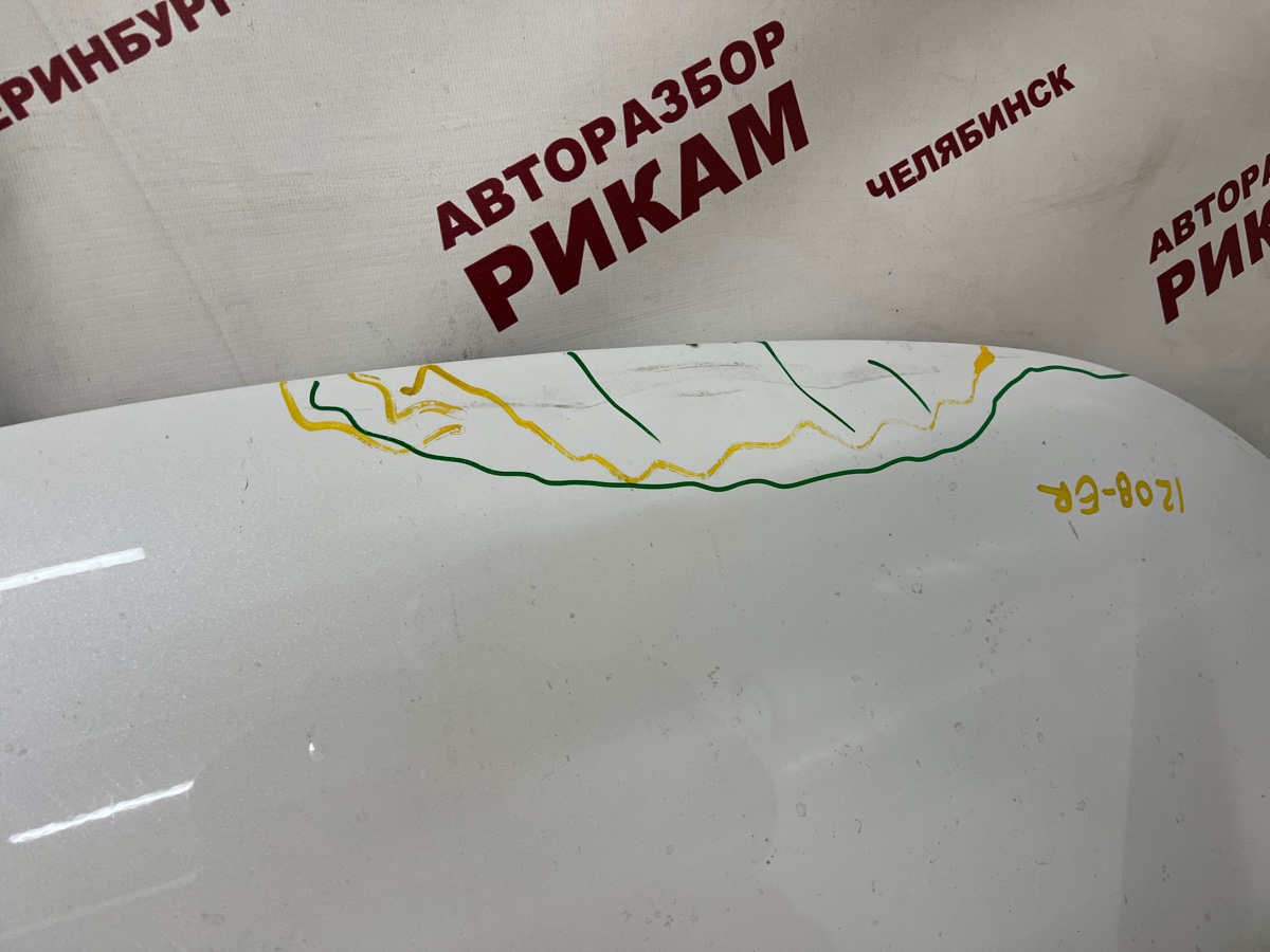 Капот C5 2023 T19C SQRE4T15C