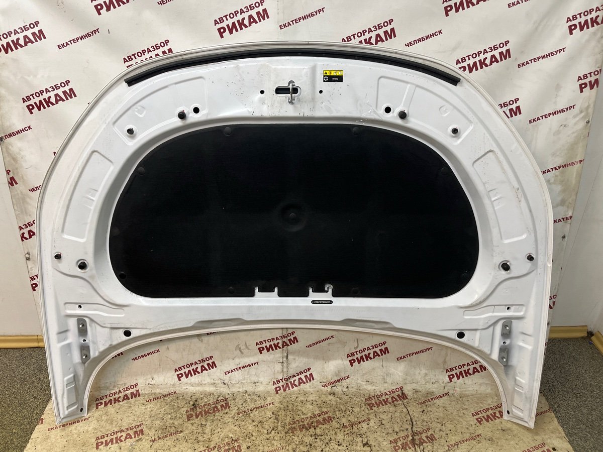 Капот C5 2023 T19C SQRE4T15C