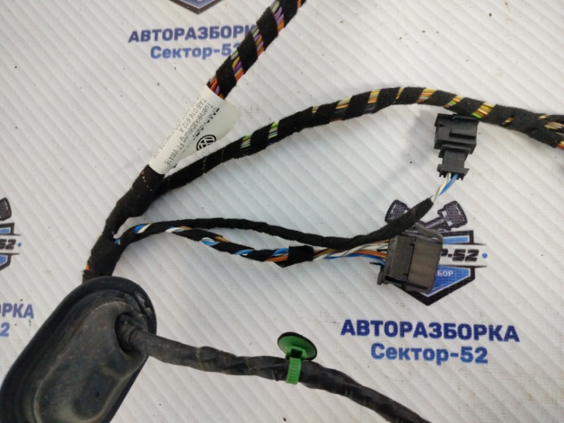 Проводка двери передняя левая Volkswagen Tiguan 5N1 BWK