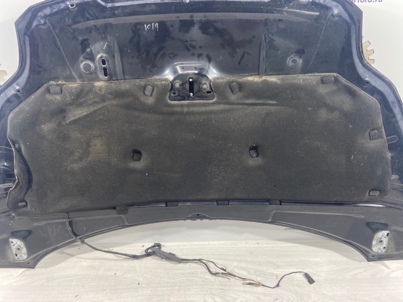 Утеплитель капота Ford Focus 3 (11-14) 2013 Хэтчбек 1.6L Duratec (105PS) IQDB 1919105 контрактная