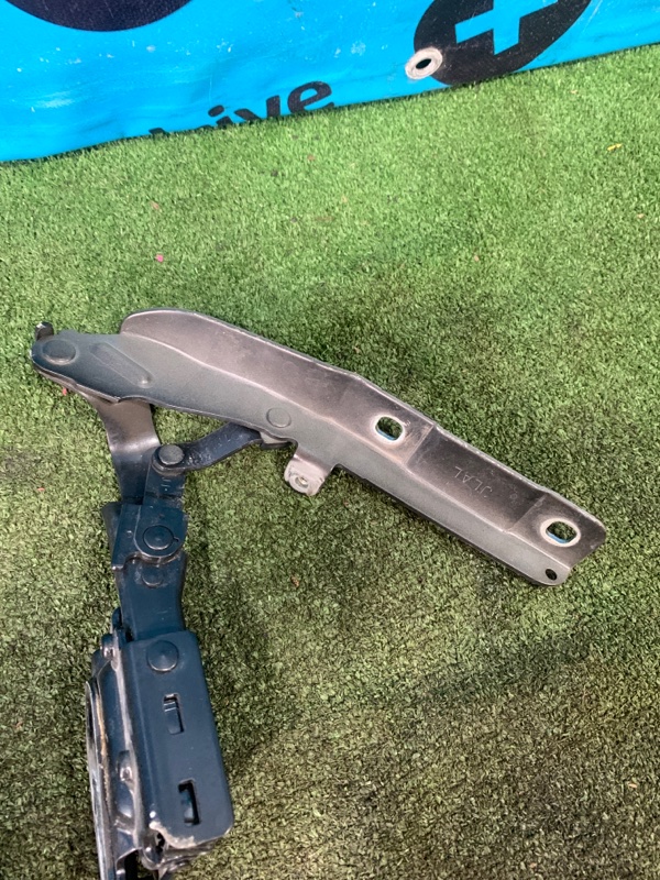 Петля капота Fuga 2019 HY51 VQ25