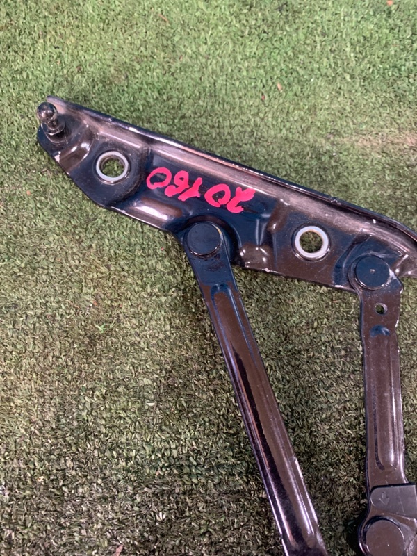 Петля крышки багажника Nissan Fuga HY51 VQ25