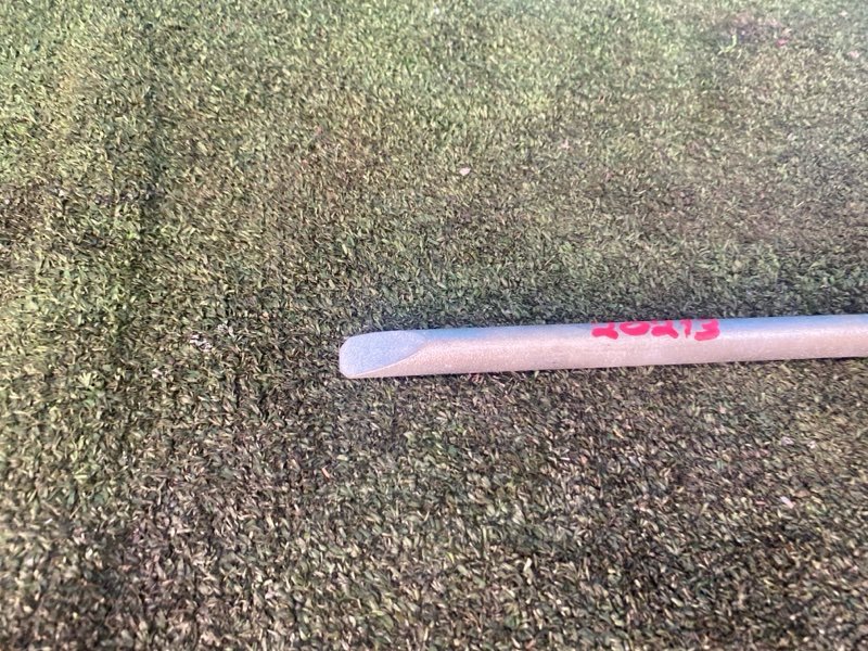 Балонник Балонник