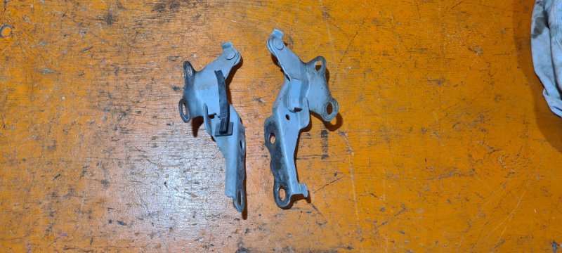 Петля капота TOYOTA SUCCEED NCP51 1NZ-FE 2012 (б/у)