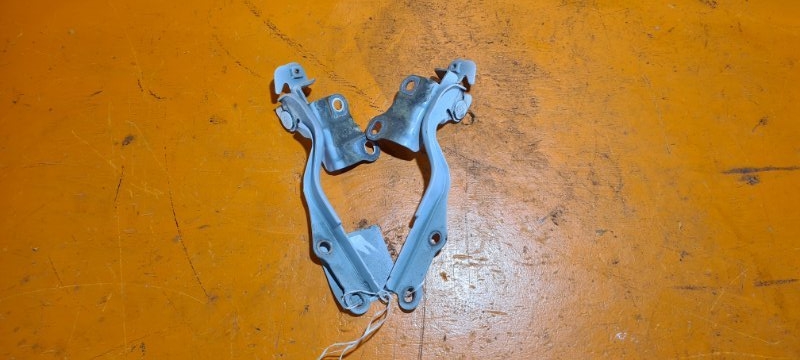 Петля капота TOYOTA SUCCEED NCP165 1NZ-FE 2015 (б/у)
