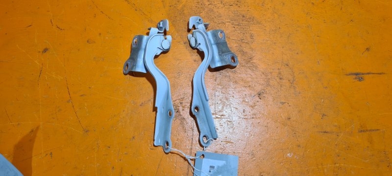 Петля капота TOYOTA SUCCEED NCP165 1NZ-FE 2015 (б/у)