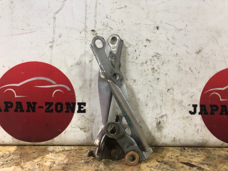 Петля капота Toyota Platz NCP12 1NZ-FE 2002 (б/у)