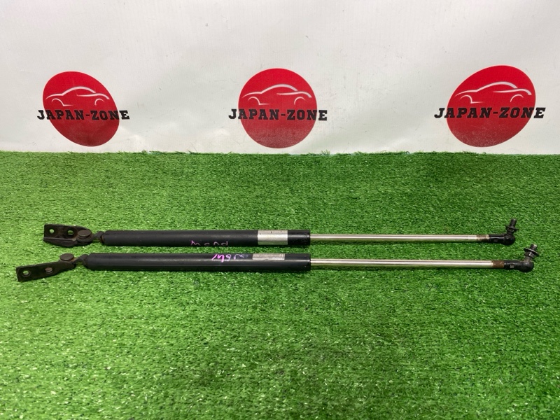 Амортизатор багажника Familia S-Wagon 2001 BJ5W ZL-DE