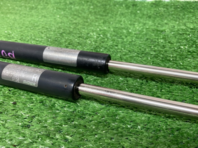 Амортизатор багажника Familia S-Wagon 2001 BJ5W ZL-DE