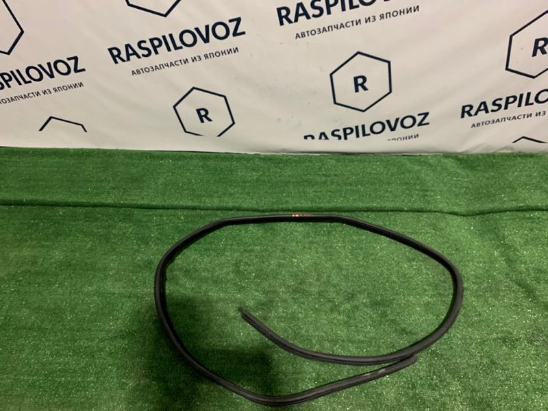 УПЛОТНИТЕЛЬ ДВЕРНОГО ПРОЕМА задний правый BMW BMW 5 series 2003 E60 M54B25 51727122434 контрактная