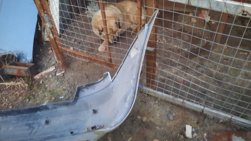 Бампер задний Octavia