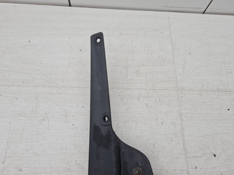 Брызговик задний правый RX 4 2017 AL20 2GR-FXS