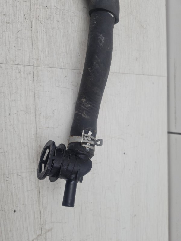 Патрубок охлаждения RX 4 2017 AL20 2GR-FXS