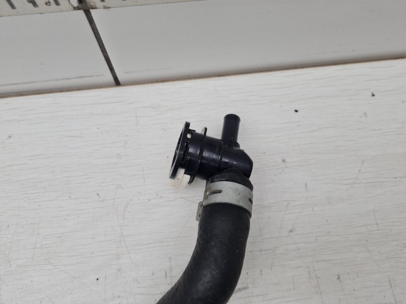 Патрубок охлаждения RX 4 2017 AL20 2GR-FXS