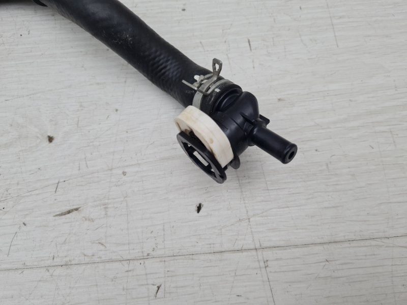 Патрубок охлаждения RX 4 2017 AL20 2GR-FXS