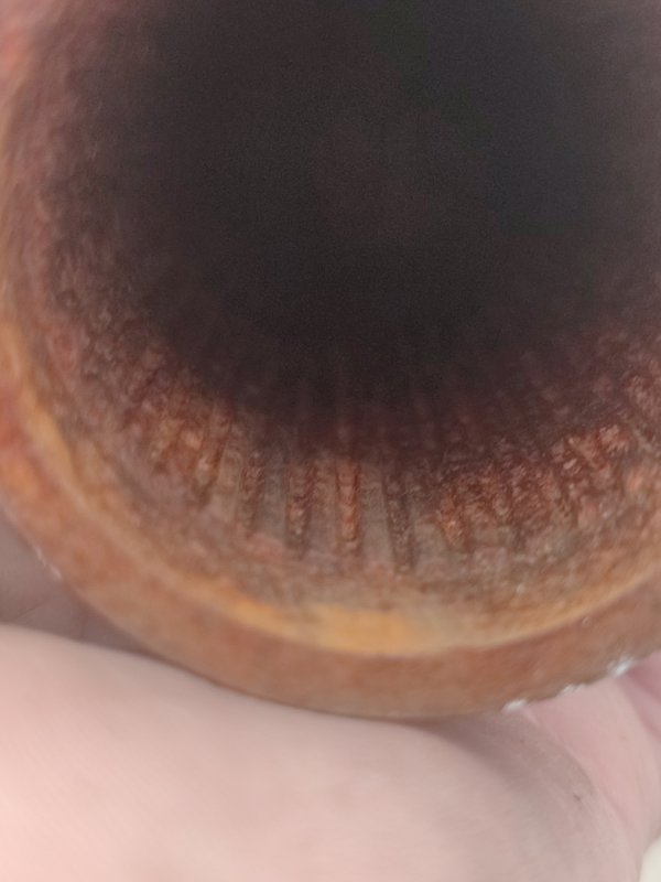 Вал карданный Patrol 2014-2023 Y62