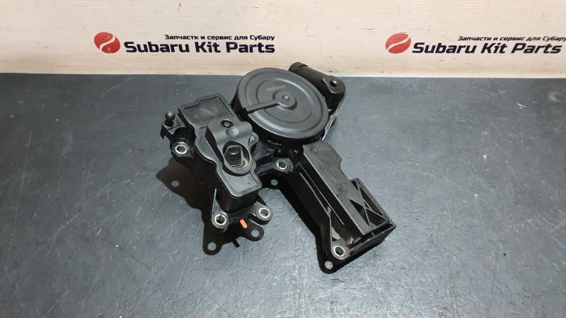 Маслоотделитель VOLKSWAGEN Passat CC 2010 2.0 TFSI AW06H01030495A Б/У