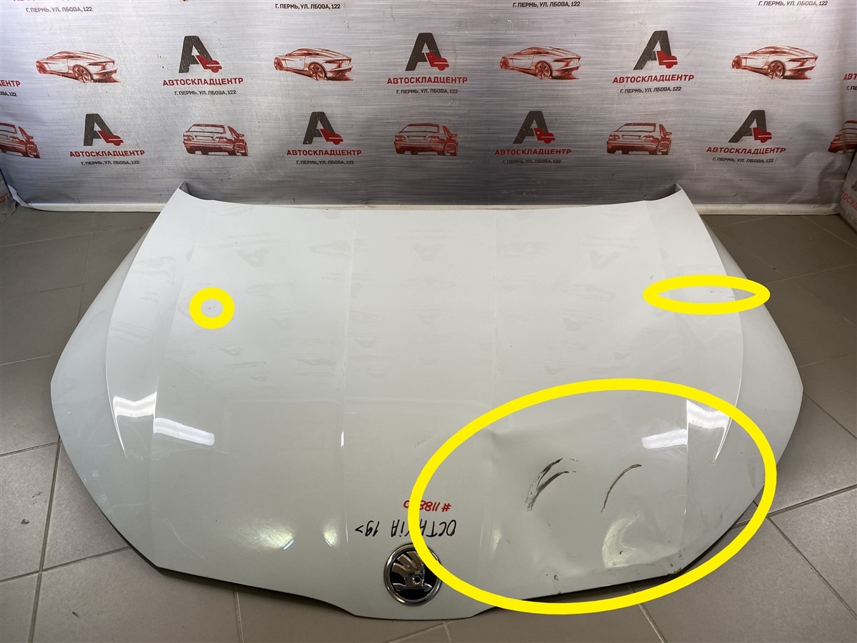 Капот SKODA OCTAVIA (2019-н.в.) (б/у)