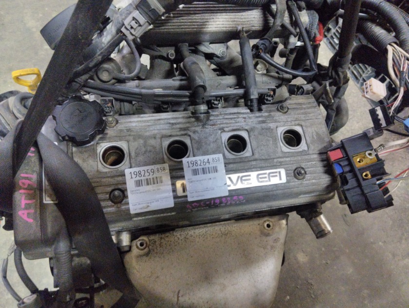 Двигатель TOYOTA Carina 1995 AT191 7AFE 19000-1A370 купить