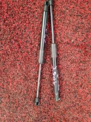 Амортизатор багажника (торсион) BMW 5-SERIES 2004