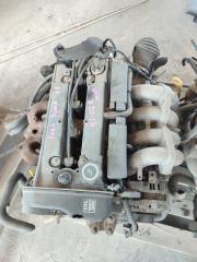 Двигатель FORD Puma