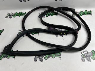 Уплотнительная резинка двери передняя левая Infiniti FX50 2010г [136]