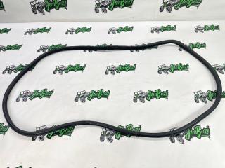 Уплотнительная резинка двери задняя правая Infiniti FX50s 2008г [153]