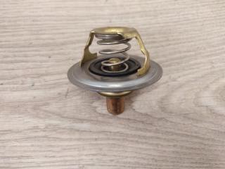 Термостат Peugeot 406 8E