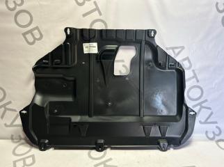 Защита двигателя Ford Focus 2010-2019