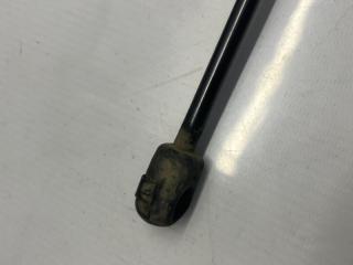 Амортизатор багажника Megane 2 2004