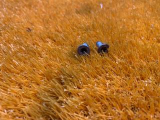 Запчасть болт тормозного диска задний Audi A4 2012