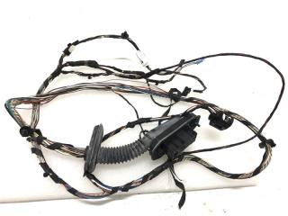 Проводка двери задняя левая BMW X3 2013