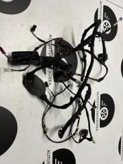 Проводка двери задняя левая BMW X3 2021