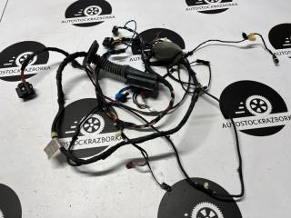 Проводка двери передняя правая BMW X3 2021