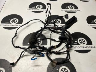 Проводка двери передняя левая BMW X3 2019