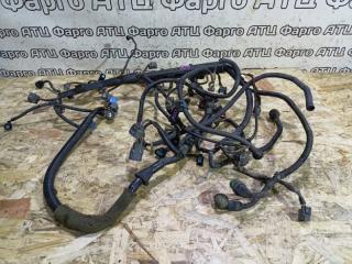 Проводка двигателя Honda Avancier