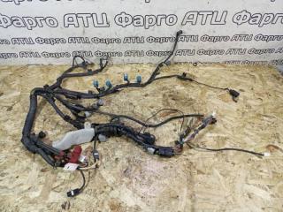 Проводка двигателя Toyota Raum 2001