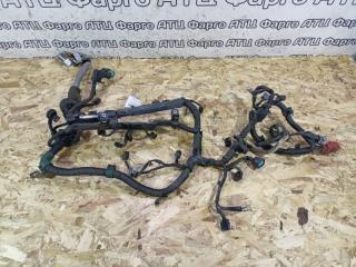 Проводка двигателя Honda Civic Ferio 2001