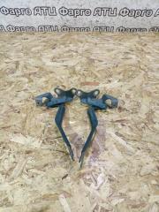 Петля капота Mazda Premacy 2000 контрактная Петля капота Mazda Premacy 2000