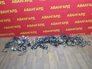 Проводка Toyota Yaris 2008 Б/У Проводка Toyota Yaris 2008