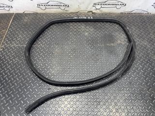 Уплотнительная резинка задняя правая Nissan Qashqai 2008
