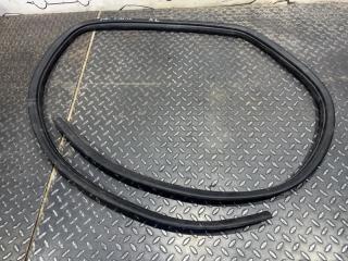 Уплотнительная резинка задняя левая Nissan Qashqai 2008