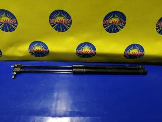 Запчасть амортизатор двери багажника задний MERCEDES-BENZ A170 2004-2012