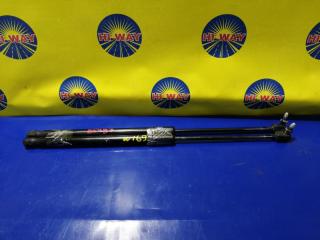 Запчасть амортизатор двери багажника задний MERCEDES-BENZ A170 2004-2012