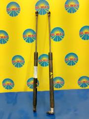 Фото запчасти амортизатор двери багажника задний AUDI A4 2004-2008 контрактная запчасть Запчасть амортизатор двери багажника задний AUDI A4 2004-2008