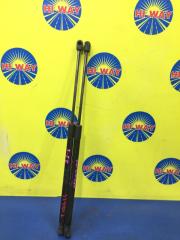 Фото запчасти амортизатор двери багажника задний AUDI A3 2004-2008 контрактная запчасть Запчасть амортизатор двери багажника задний AUDI A3 2004-2008