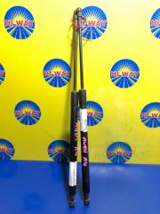 Фото запчасти амортизатор двери багажника задний AUDI A4 2004-2008 контрактная запчасть Запчасть амортизатор двери багажника задний AUDI A4 2004-2008